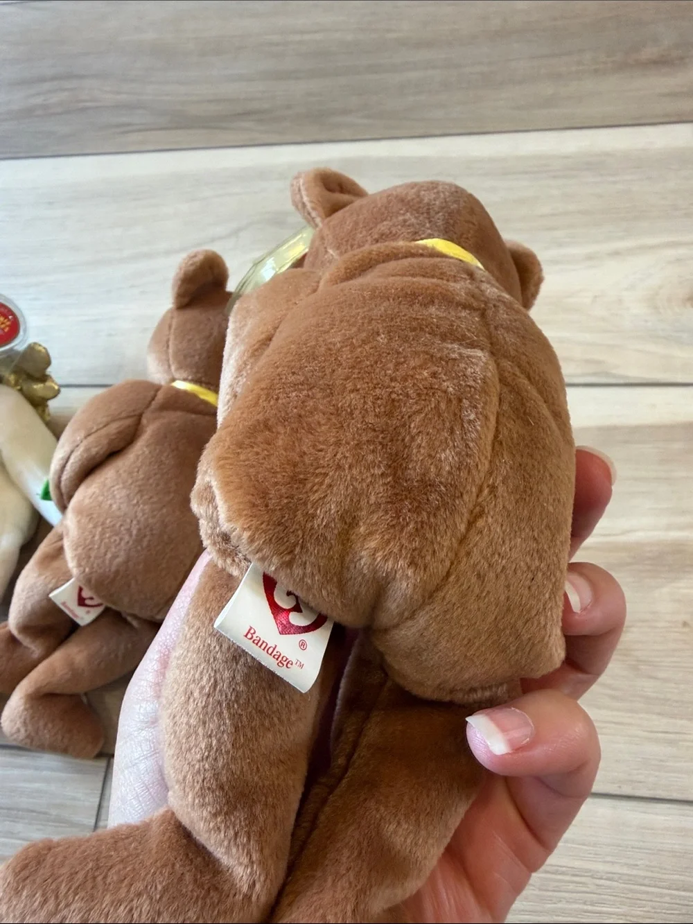 Ty 'Get Well Soon' Plush Bears - White and Brown with Green & Gold Accents